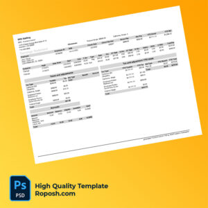 BRS Staffing earning statement word and pdf template