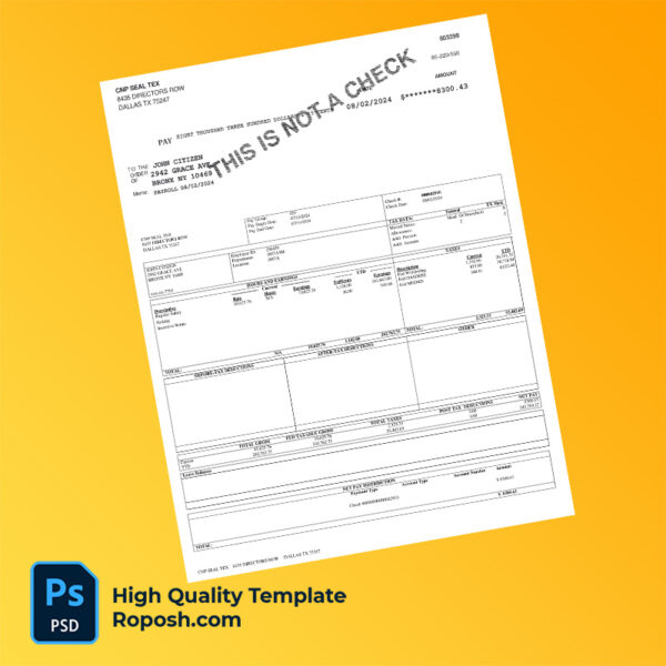 CNP Seal Tex pay stub word and pdf template