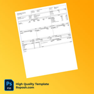 Digital Intelligence Systems LLC earning statement word and pdf template
