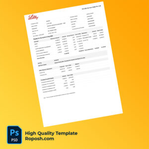 Eli Lilly Services India Pvt Ltd payslip word and pdf template