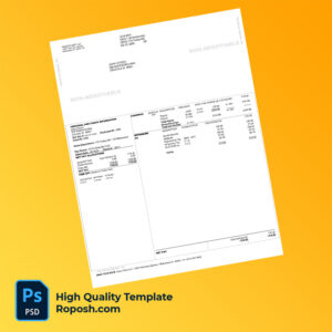 Kaser Fleet LLC pay stub word and pdf template