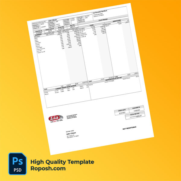 Lia Hyundai Hartford earning statement word and pdf template