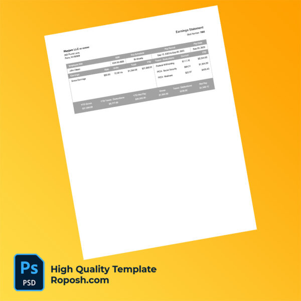 Mayjam LLC earning statement word and pdf template