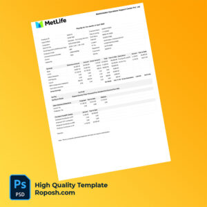 Metlife Global Operations Support Center Pvt Ltd payslip word and pdf template