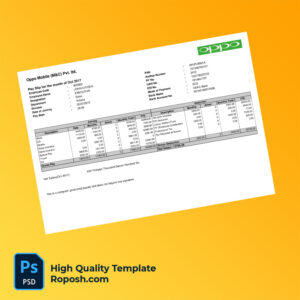 Oppo Mobile (M&C) Pvt ltd payslip word and pdf template