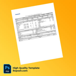 Panasonic Logistics Solutions America Inc pay stub word and pdf template