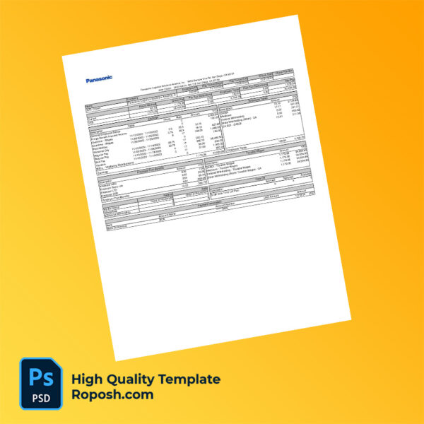 Panasonic Logistics Solutions America Inc pay stub word and pdf template