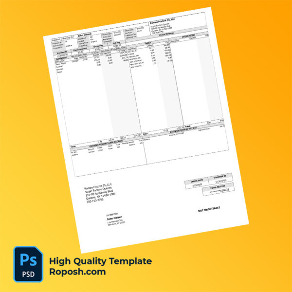 Romeo Foxtrot 55 LLC earning statement word and pdf template