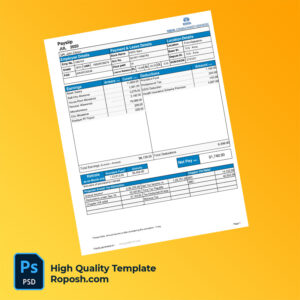 Tata Consultancy Services payslip word and pdf template