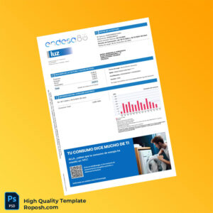 Argentina Endesa Energía Editable Utility Bill Template in Word and PDF formats