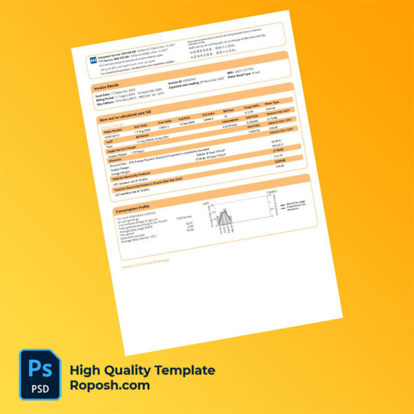 Australia Victoria Simply Energy Editable Electricity Bill Template in Word and PDF formats