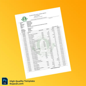Bangladesh Islami Bank Bank Statement Template in Word and PDF formats