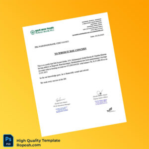 Bangladesh Pubali Bank Statement Template in Word and PDF formats 7 page