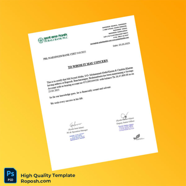 Bangladesh Pubali Bank Statement Template in Word and PDF formats 7 page