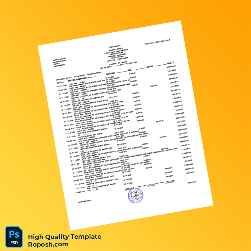 Bangladesh Pubali Bank Statement Template in Word and PDF formats 7 page Bangladesh Pubali Bank Statement Template in Word and PDF formats 7 page