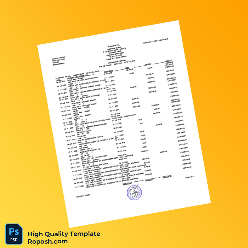 Bangladesh Pubali Bank Statement Template in Word and PDF formats 7 page Bangladesh Pubali Bank Statement Template in Word and PDF formats 7 page