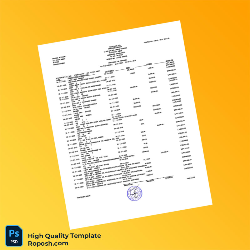 Bangladesh Pubali Bank Statement Template in Word and PDF formats 7 page Bangladesh Pubali Bank Statement Template in Word and PDF formats 7 page