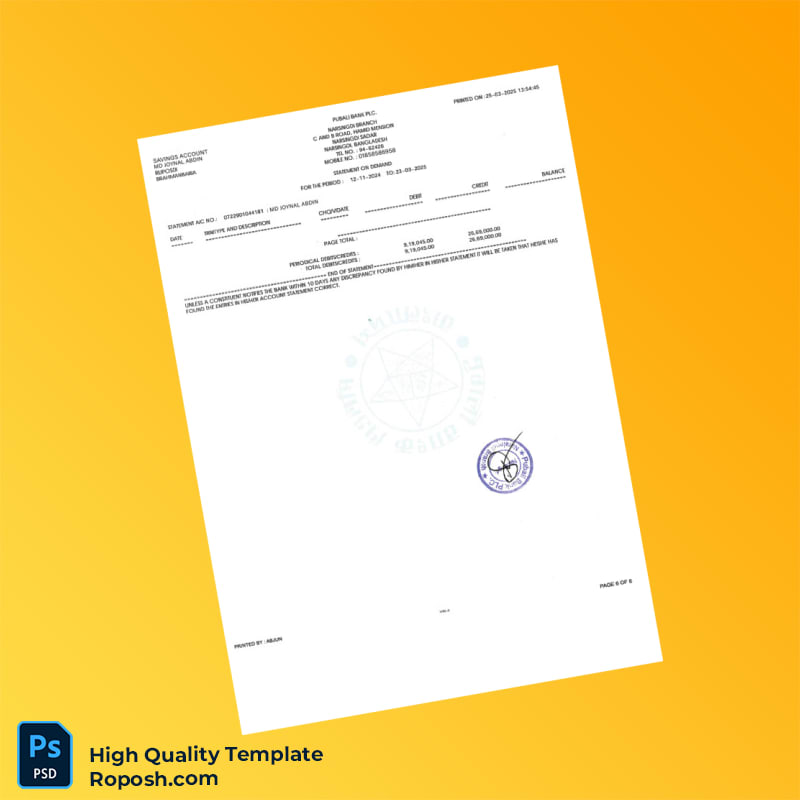 Bangladesh Pubali Bank Statement Template in Word and PDF formats 7 page Bangladesh Pubali Bank Statement Template in Word and PDF formats 7 page