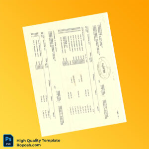 CDC Bank Statement Template in Word and PDF formats 4 page