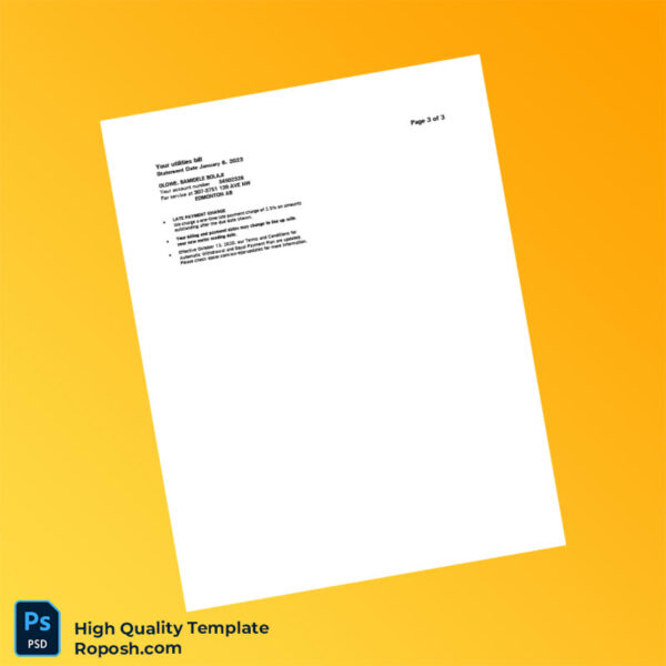 Canada EPCOR Editable Electricity Bill Template in Word and PDF formats 3 page