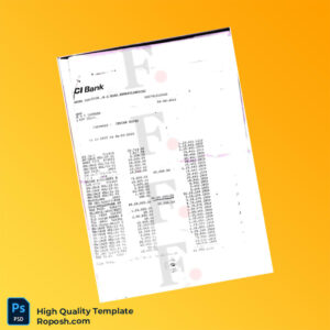 Country_ Bank_Issuer_ CI Bank Document Type_ Bank Statement Editable Bank Statement Template in Word and PDF formats 6 page