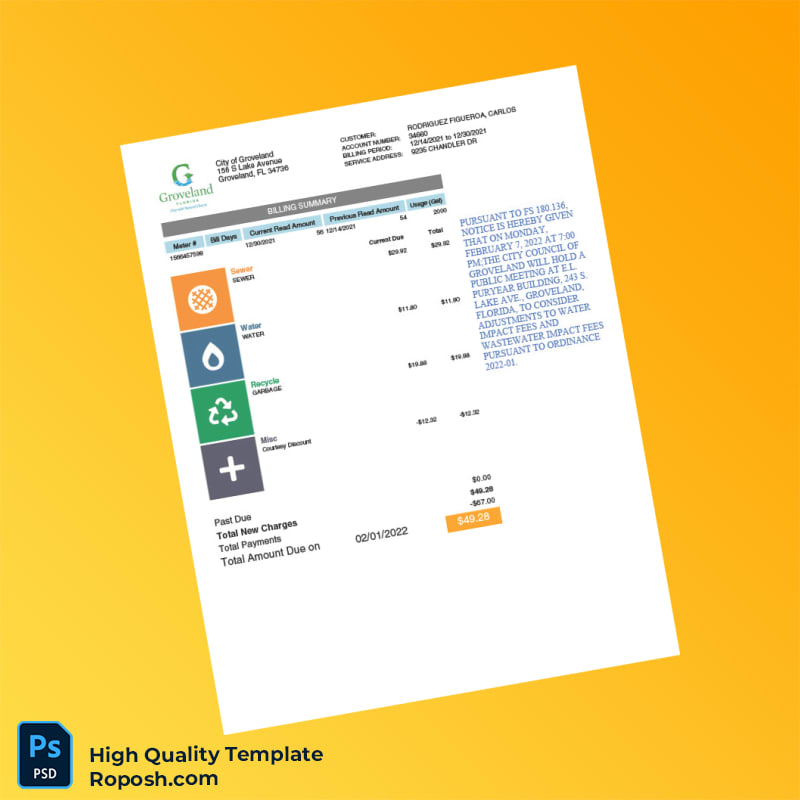 Credit Card Editable Statement Template in Word and PDF formats 4 page Credit Card Editable Statement Template in Word and PDF formats 4 page