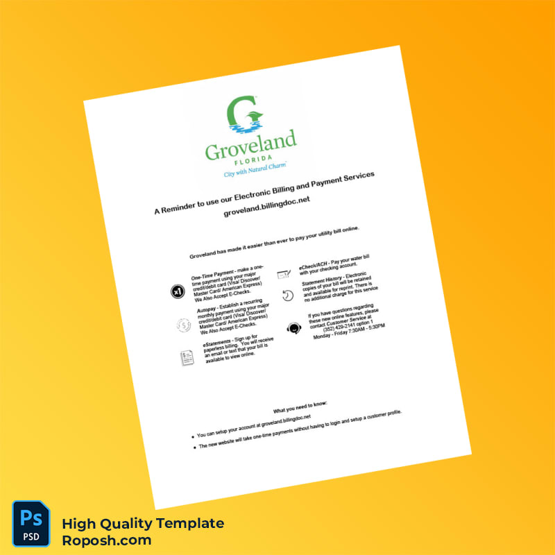 Credit Card Editable Statement Template in Word and PDF formats 4 page Credit Card Editable Statement Template in Word and PDF formats 4 page