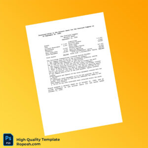 Editable Balance Sheet Template in Word and PDF formats