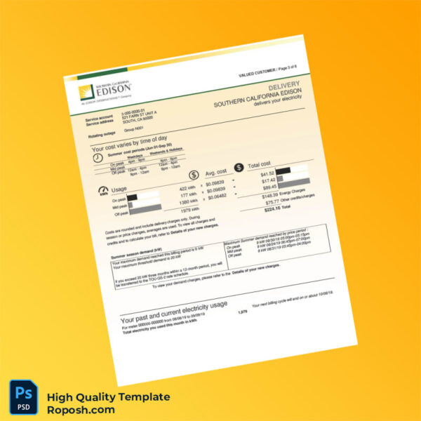 Editable Electricity Bill Template in Word and PDF formats 8 page