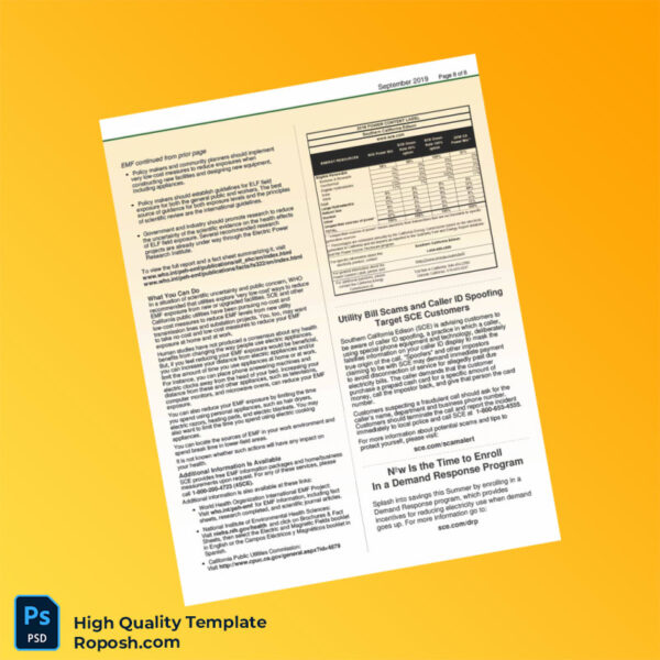 Editable Electricity Bill Template in Word and PDF formats 8 page