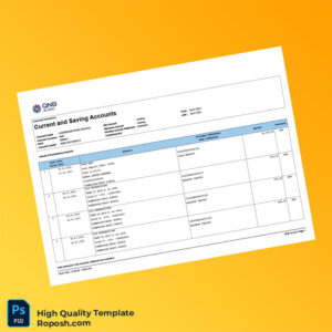 Egypt QNB Bank Statement Template in Word and PDF formats 4 page