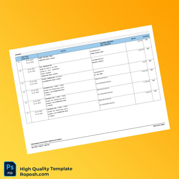 Egypt QNB Bank Statement Template in Word and PDF formats 4 page