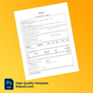 India Lifestyle International Pvt Ltd Editable Tax Invoice Template in Word and PDF formats
