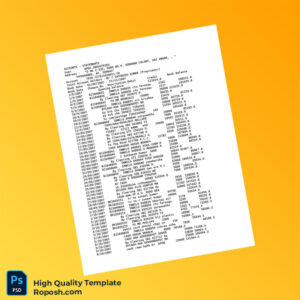 India Apex Industries Bank Statement Template in Word and PDF formats 3 page