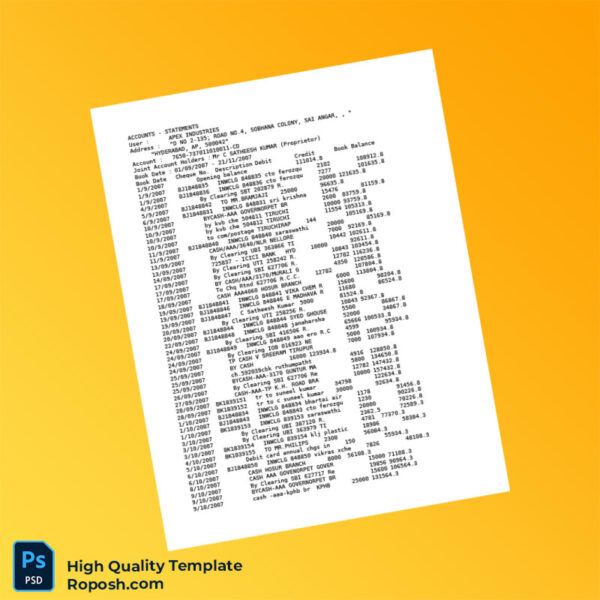 India Apex Industries Bank Statement Template in Word and PDF formats 3 page