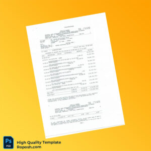 India Bank of Baroda Bank Statement Template in Word and PDF formats 2 page