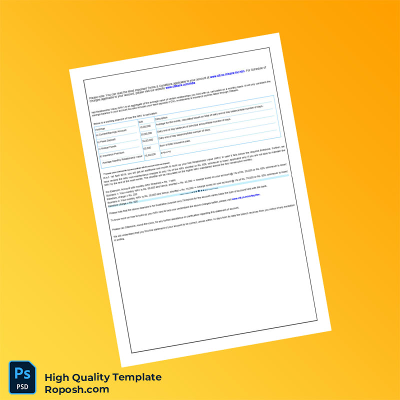 India Citi Bank Statement Template in Word and PDF formats 4 page India Citi Bank Statement Template in Word and PDF formats 4 page
