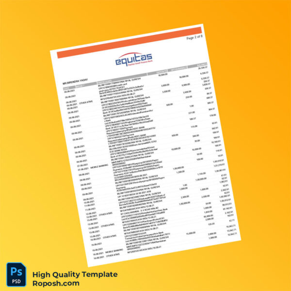 India Equitas Bank Statement Template in Word and PDF formats 8 page