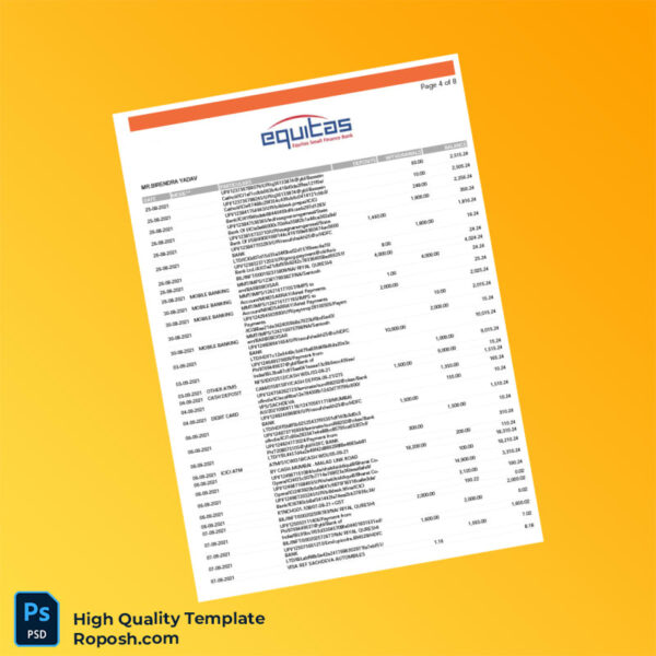 India Equitas Bank Statement Template in Word and PDF formats 8 page