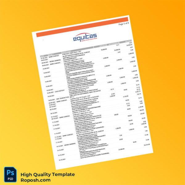India Equitas Bank Statement Template in Word and PDF formats 8 page