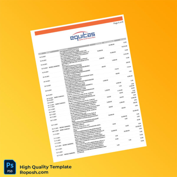 India Equitas Bank Statement Template in Word and PDF formats 8 page