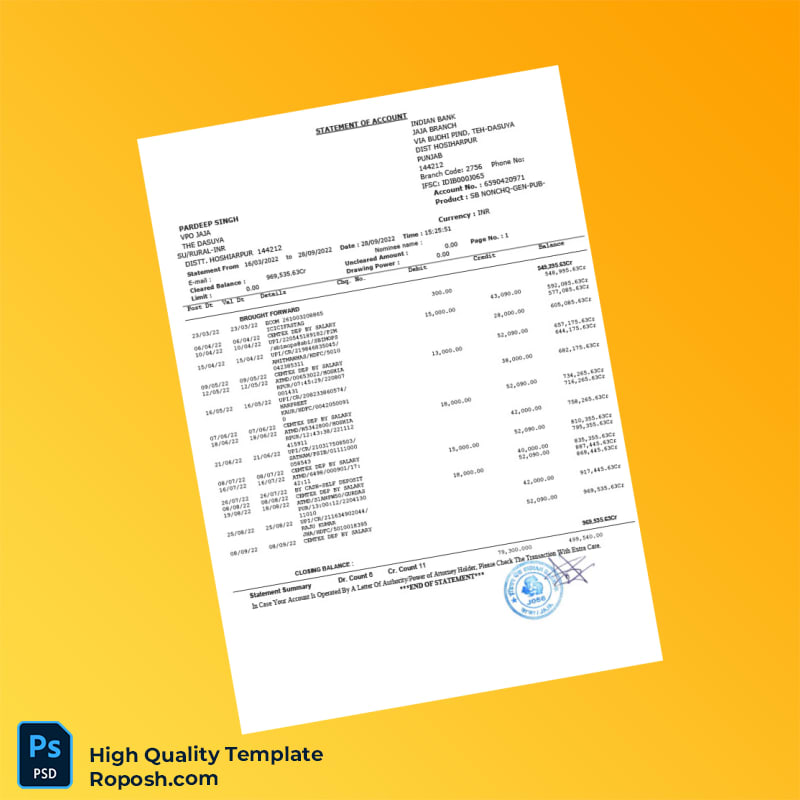 India Indian Bank Bank Statement Template in Word and PDF formats India Indian Bank Bank Statement Template in Word and PDF formats