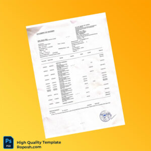 India Simran Bank Statement Template in Word and PDF formats 4 page