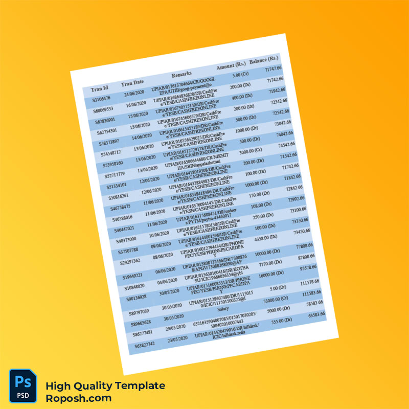 India Union Bank Bank Statement Template in Word and PDF formats 5 page India Union Bank Bank Statement Template in Word and PDF formats 5 page