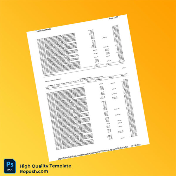India Union Bank of India Bank Statement Template in Word and PDF formats 5 page