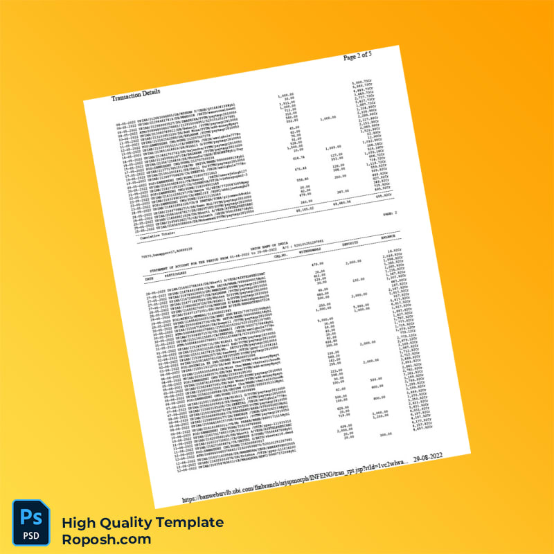India Union Bank of India Bank Statement Template in Word and PDF formats 5 page India Union Bank of India Bank Statement Template in Word and PDF formats 5 page