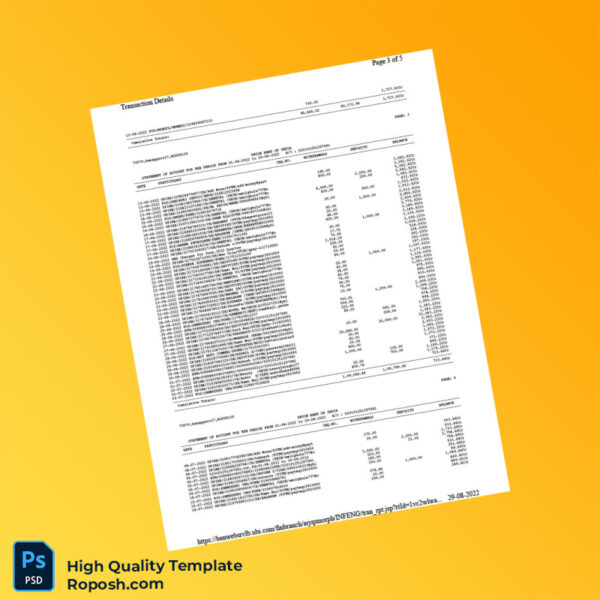 India Union Bank of India Bank Statement Template in Word and PDF formats 5 page