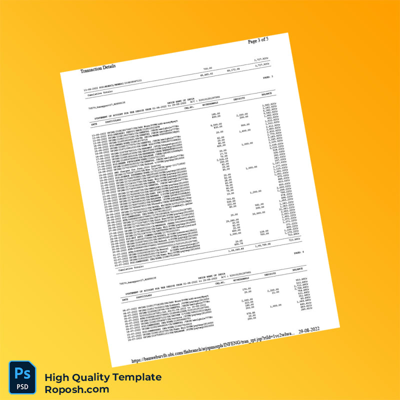 India Union Bank of India Bank Statement Template in Word and PDF formats 5 page India Union Bank of India Bank Statement Template in Word and PDF formats 5 page