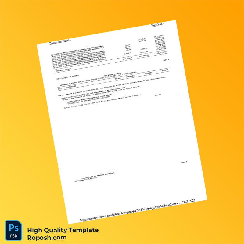 India Union Bank of India Bank Statement Template in Word and PDF formats 5 page India Union Bank of India Bank Statement Template in Word and PDF formats 5 page