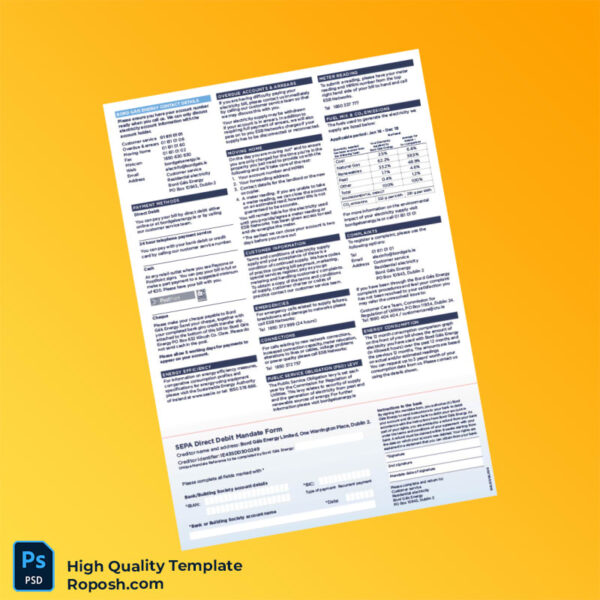 Ireland Bord Gáis Energy Editable Electricity Bill Template in Word and PDF formats 3 page